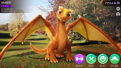صور AR Dragon