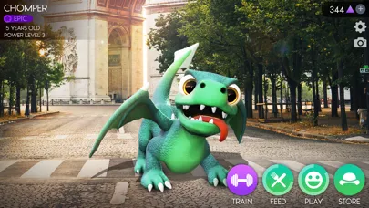 صور AR Dragon
