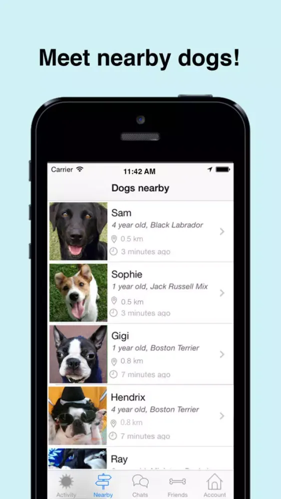 Скриншоты Meet My Dog - For Dog Owners