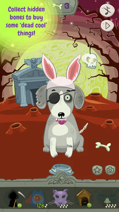 تصاویر Meet a Dead Dog