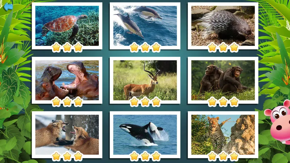 Kids Puzzle Game: Wild Animals Screenshots