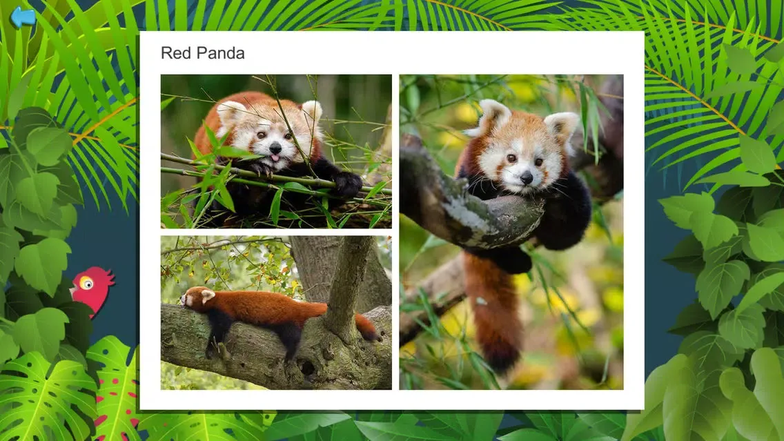 Kids Puzzle Game: Wild Animals Screenshots