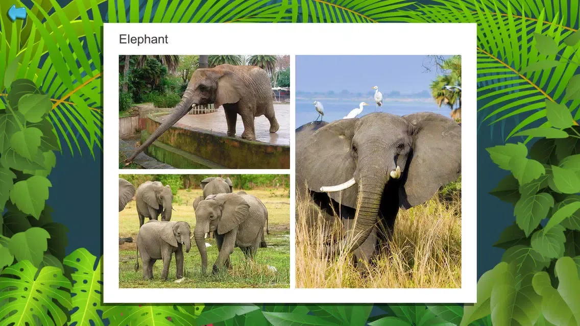 Kids Puzzle Game: Wild Animals Screenshots