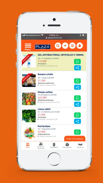 تصاویر PlazaEnVivo