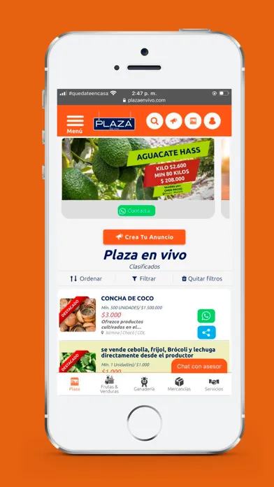 تصاویر PlazaEnVivo