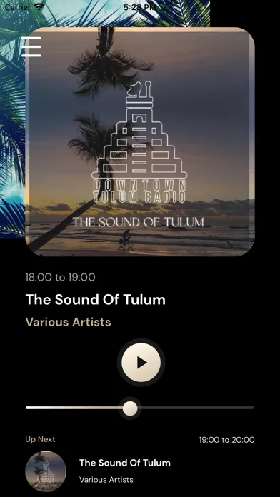 Capturas de pantalla de Downtown Tulum Radio