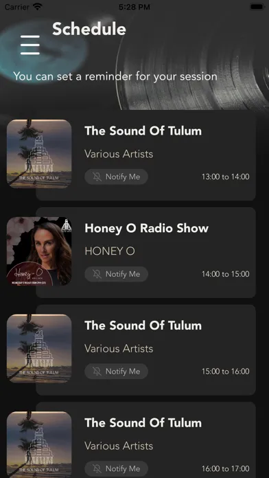 Capturas de pantalla de Downtown Tulum Radio