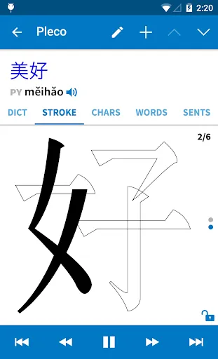 Pleco Chinese Dictionary Ekran Görüntüleri