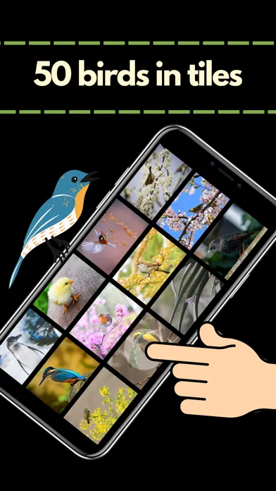 Captures d'écran de Lovely Bird Puzzles