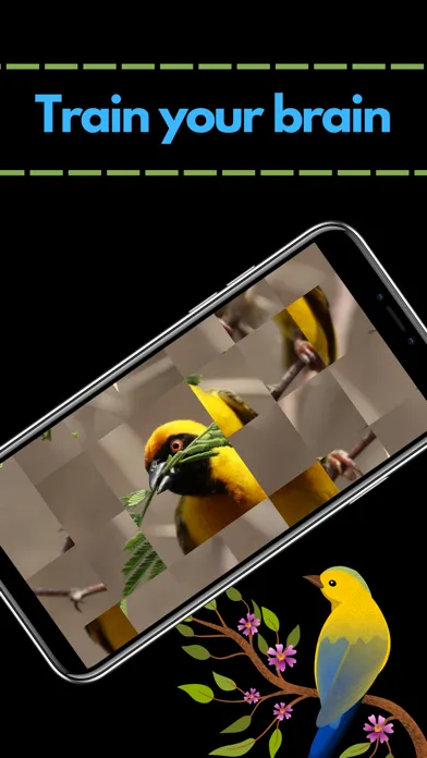 Captures d'écran de Lovely Bird Puzzles