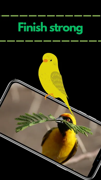 Captures d'écran de Lovely Bird Puzzles