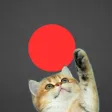 Classic Red Dot