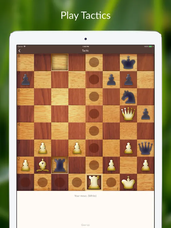 Chess Tactics and Lessons iPad  Screenshots