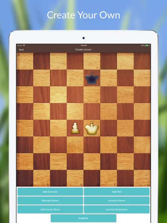 Chess Tactics and Lessons iPad  Screenshots