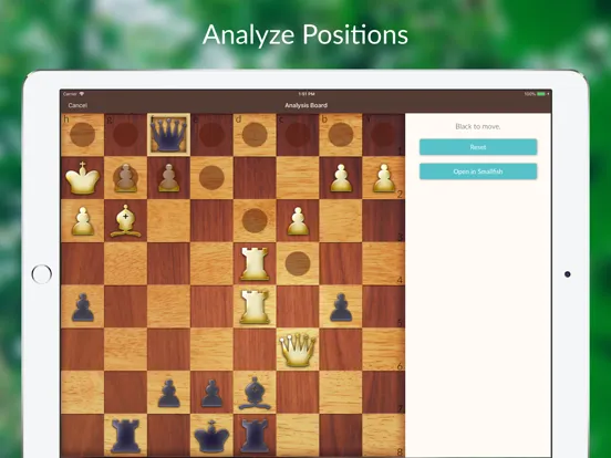 Chess Tactics and Lessons iPad  Screenshots