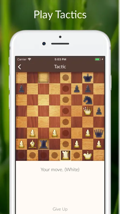 Chess Tactics and Lessons Screenshots