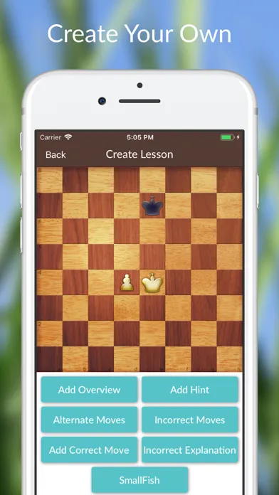 Chess Tactics and Lessons Screenshots