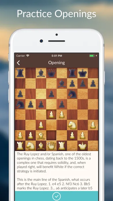 Chess Tactics and Lessons Screenshots