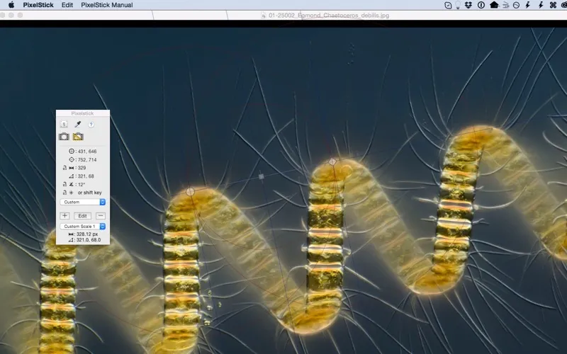 Screenshot di PixelStick