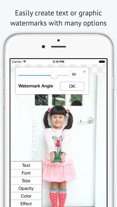 Ảnh chụp màn hình của iWatermark Lite Watermark Pics
