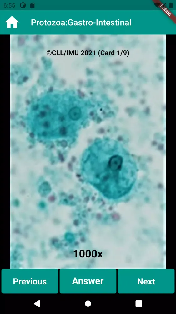 Human Parasitology Flashcard স্ক্রিনশট