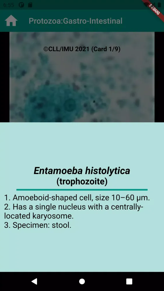 Human Parasitology Flashcard স্ক্রিনশট