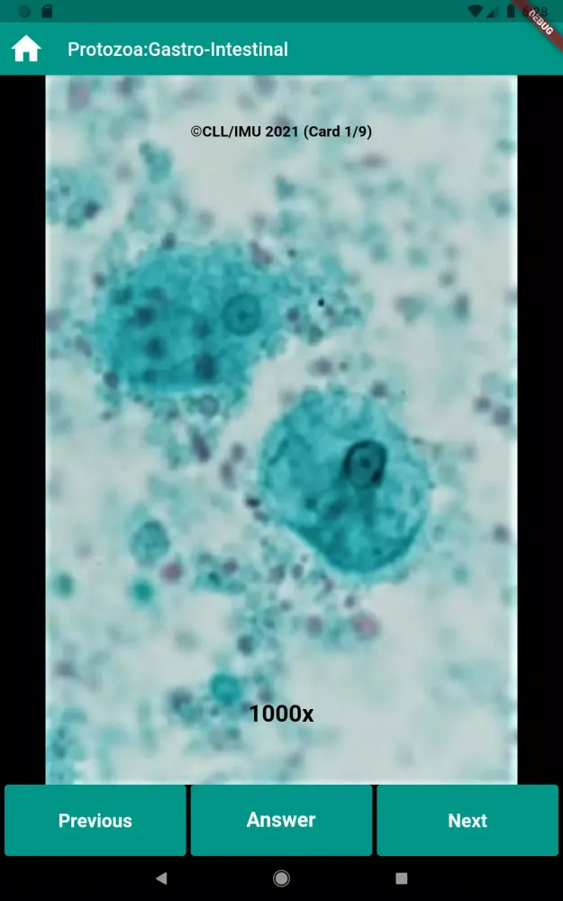 Human Parasitology Flashcard স্ক্রিনশট