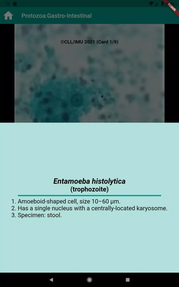 Human Parasitology Flashcard স্ক্রিনশট