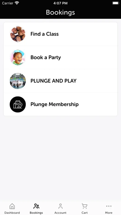Tangkapan layar Plunge San Diego