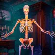 Mystery House Puzzle Adventure