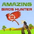 Amazing Birds Hunter Amazing Birds Hunter