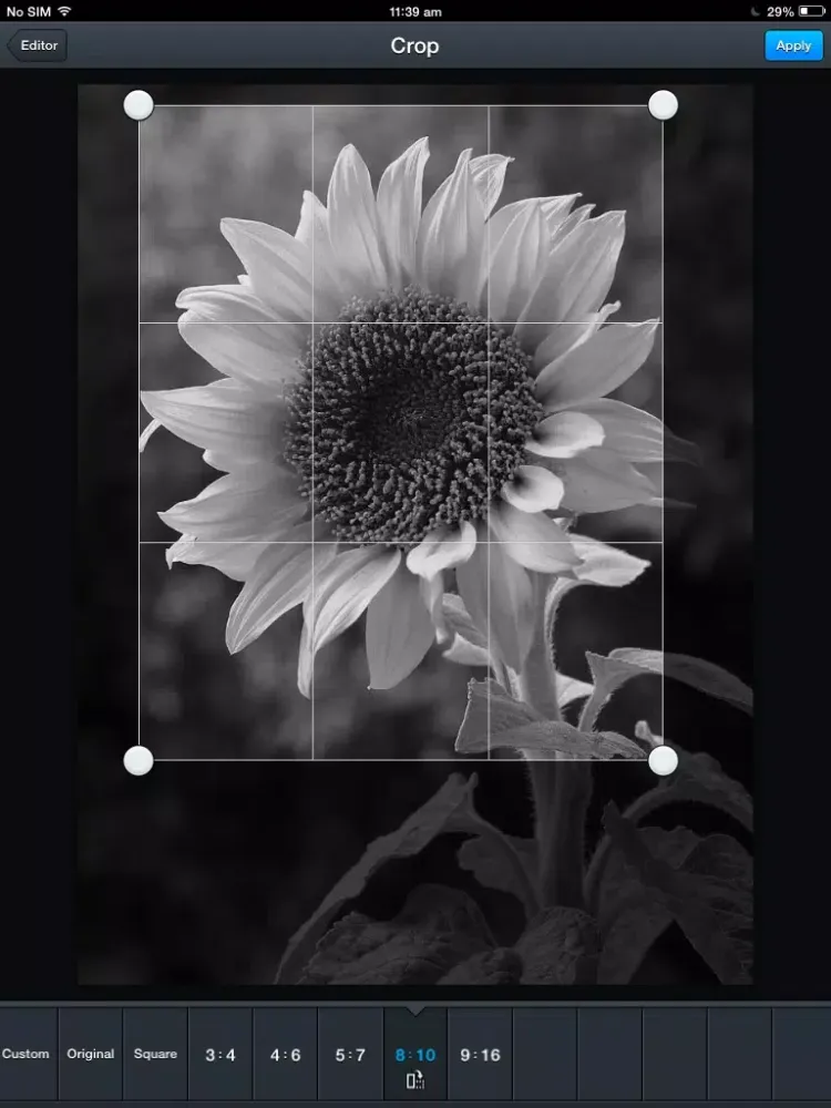 PhotoKit Sharpener iPad  Screenshots
