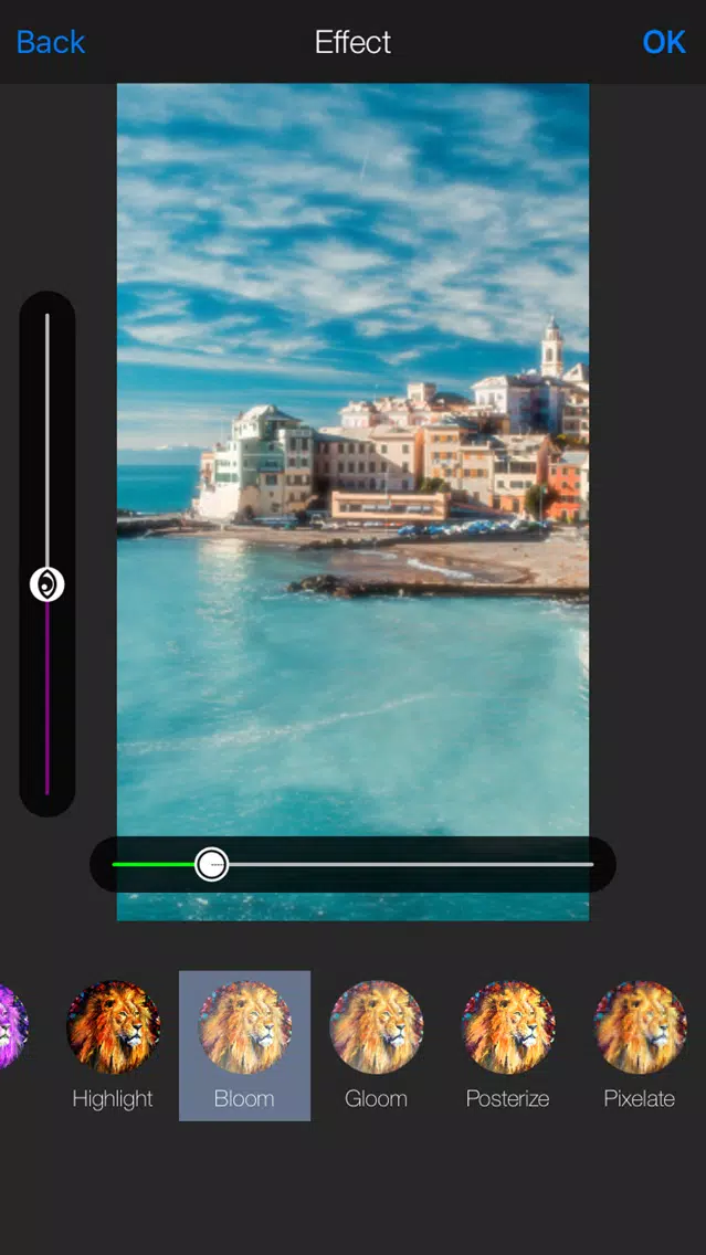 Pichunter - Effects to images स्क्रीनशॉट