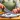 Cooking Big