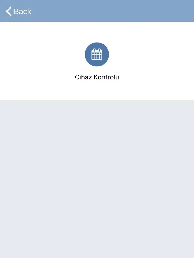 Ảnh chụp màn hình của Feryapi iPad 