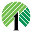 Dollar Tree - Plus Deals Dollar Tree - Plus Deals