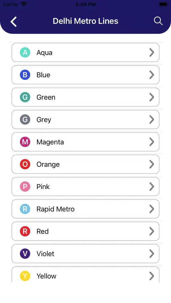 Delhi Metro Map and Routes Pro سکرین شاٹس