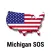 Michigan SOS Permit Practice
