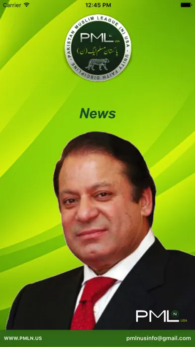 Tangkapan layar PML(N) News