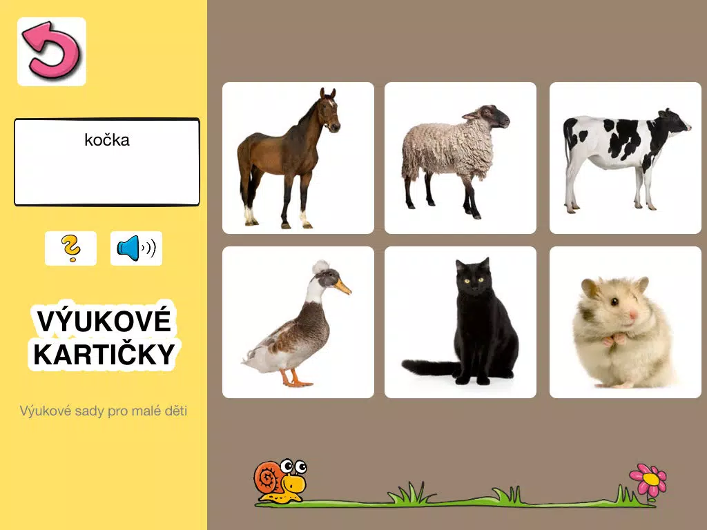 Výukové kartičky, plná verze iPad  Ekran Görüntüleri