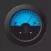 Fuel Costing Calculator