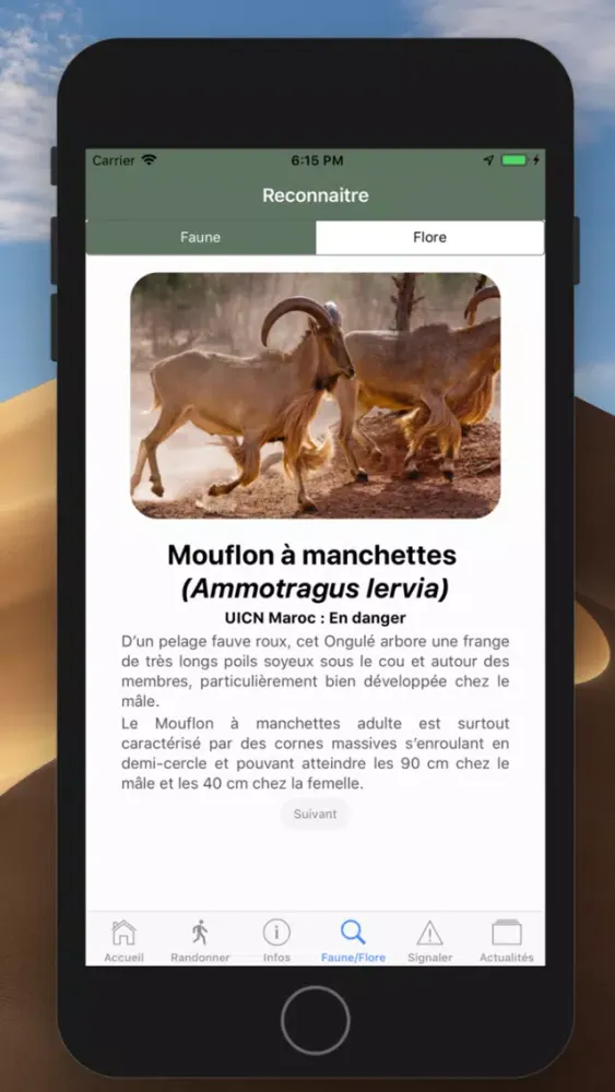 Capturas de tela do Parc National de Toubkal