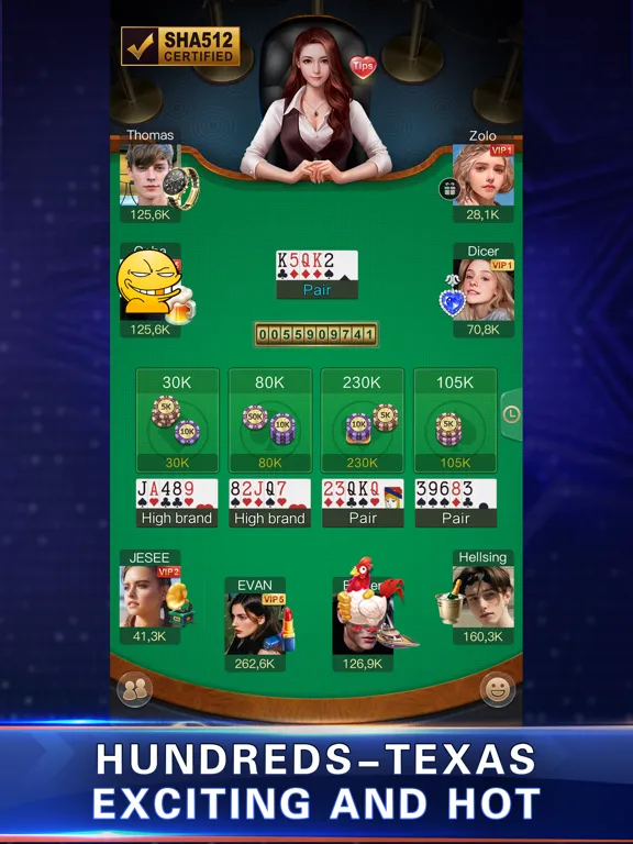 تصاویر Pocket Texas Hold'em iPad 