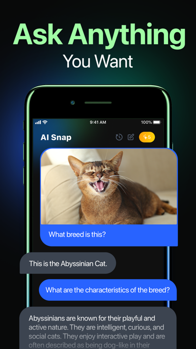 AI Snap: Ask and Scan Anything应用截图