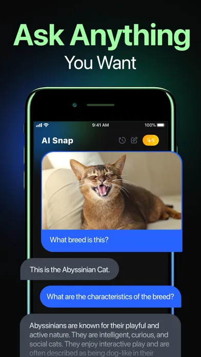 صور AI Snap: Ask and Scan Anything
