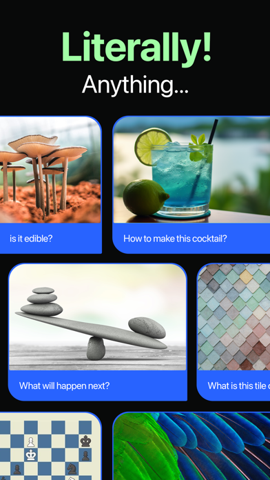 AI Snap: Ask and Scan Anything应用截图