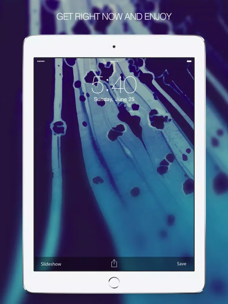 Скриншоты Art Gallery – Artsy Pictures, Digital Art & Design iPad 