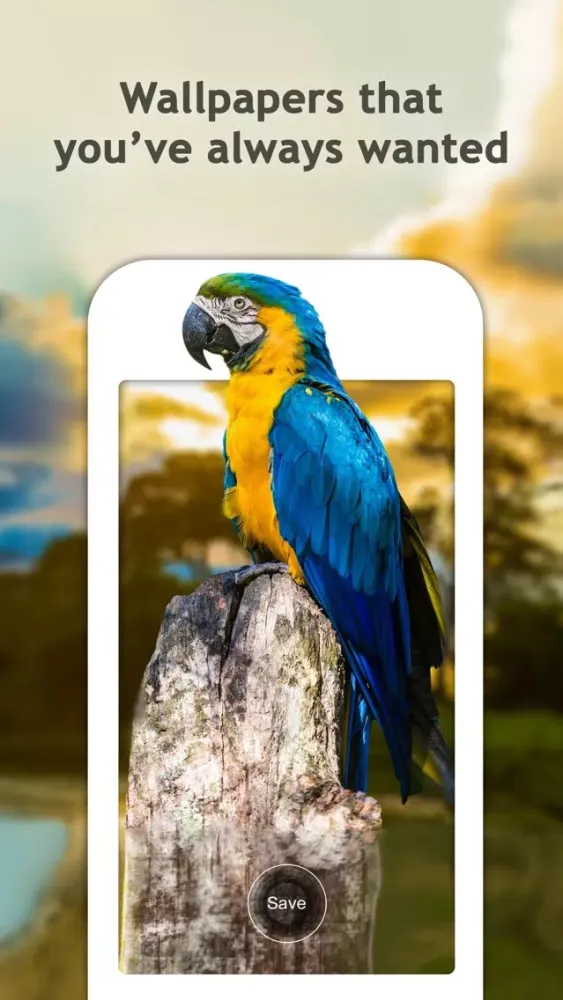 Captures d'écran de Dynamic Wallpapers for Lock Screen – Pro Themes