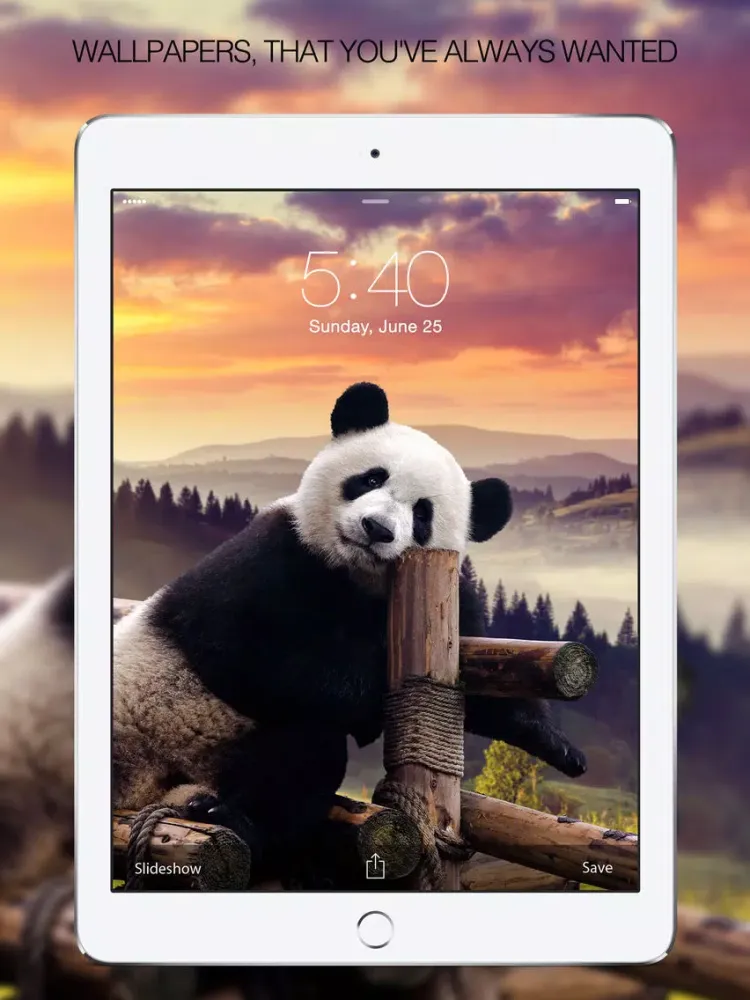 Capturas de tela do Panda Wallpapers – Panda Pictures & Panda Images iPad 