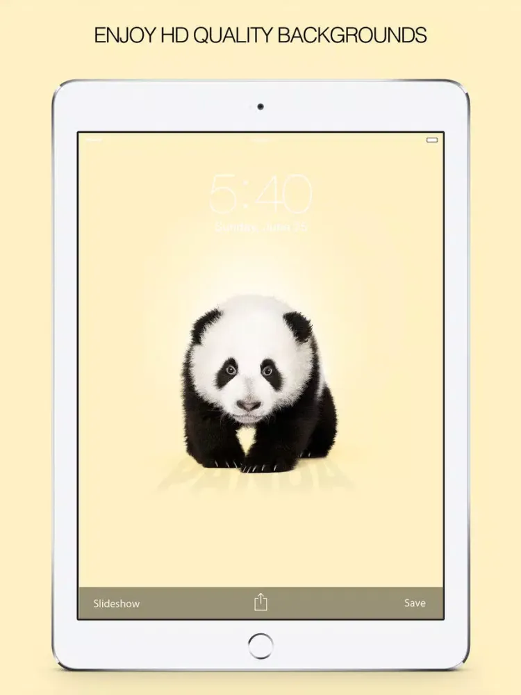 Capturas de tela do Panda Wallpapers – Panda Pictures & Panda Images iPad 